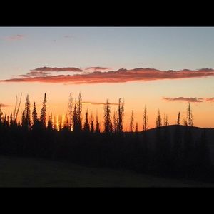 Meet your Posher, Merri lyn